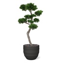 Pinus Bonsai XL kunstboom 200cm - UV bestendig