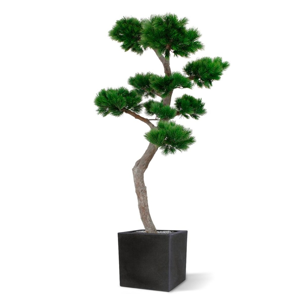 Pinus Bonsai XL kunstboom 200cm - UV bestendig