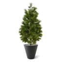 Pinus deluxe XL kunstboom 160cm - UV bestendig