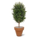 Taxus Kolom kunstplant 90cm - UV bestendig