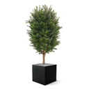 Taxus Kolom kunstplant 90cm - UV bestendig