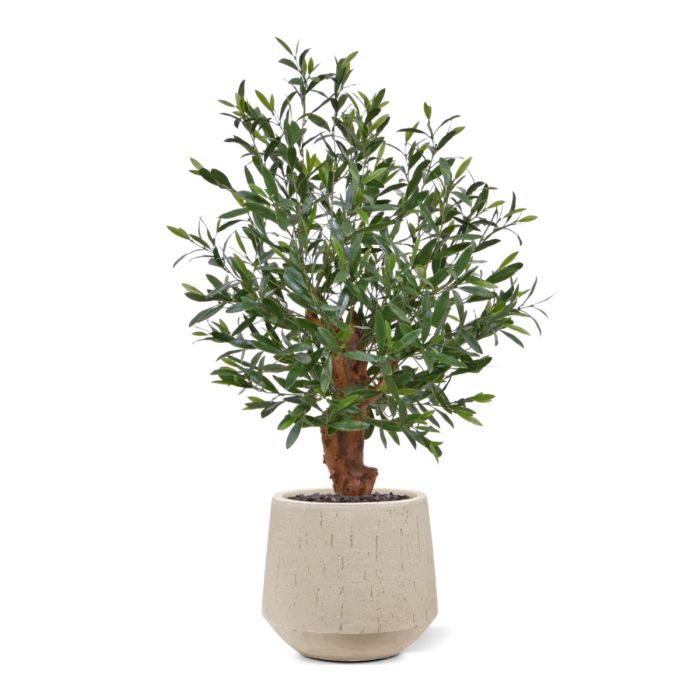 Olijf Bonsai kunstplant Deluxe 90cm UV