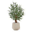 Olijf Bonsai kunstplant Deluxe 90cm UV