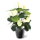 Anthurium deluxe kunstplant 50cm - creme