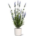 Lavendel kunstplant 50cm - blauw - UV bestendig