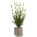 Lavendel kunstplant 50cm - wit - UV bestendig