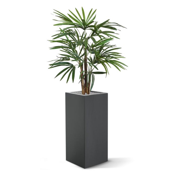 Raphis kunstpalm 75cm