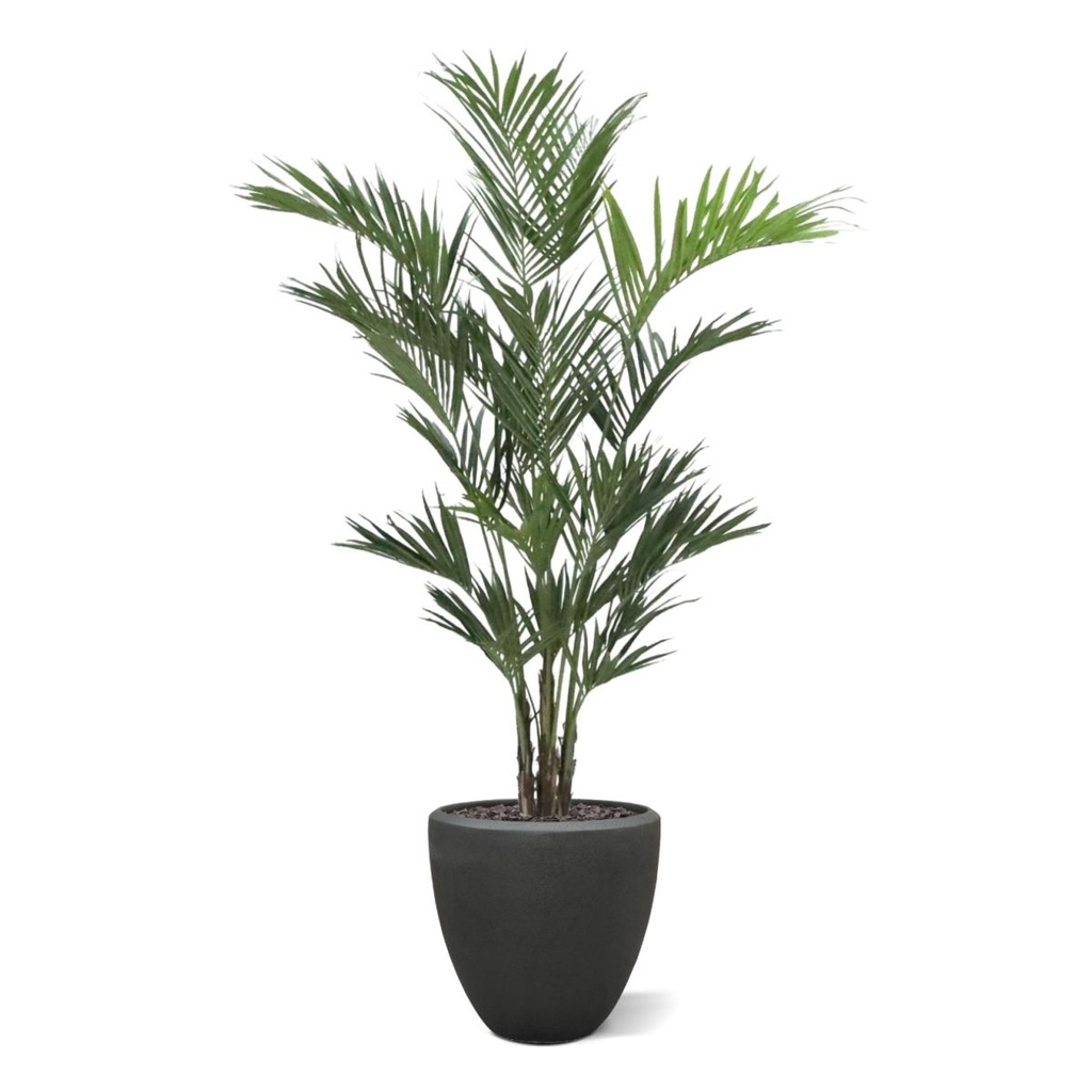 Kentia deluxe kunstpalm XL 260cm