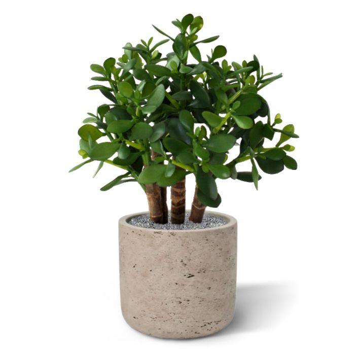 Crassula kunst vetplant 40cm