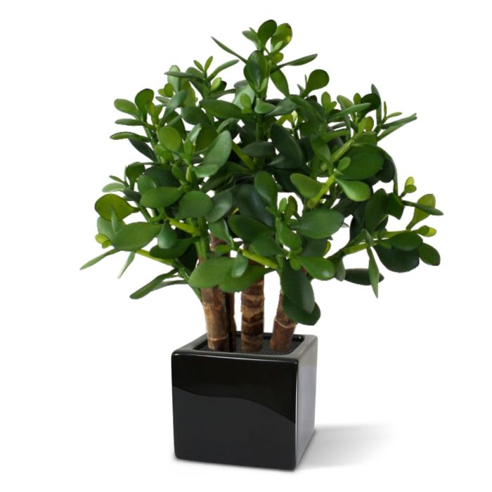 Crassula kunst vetplant 40cm