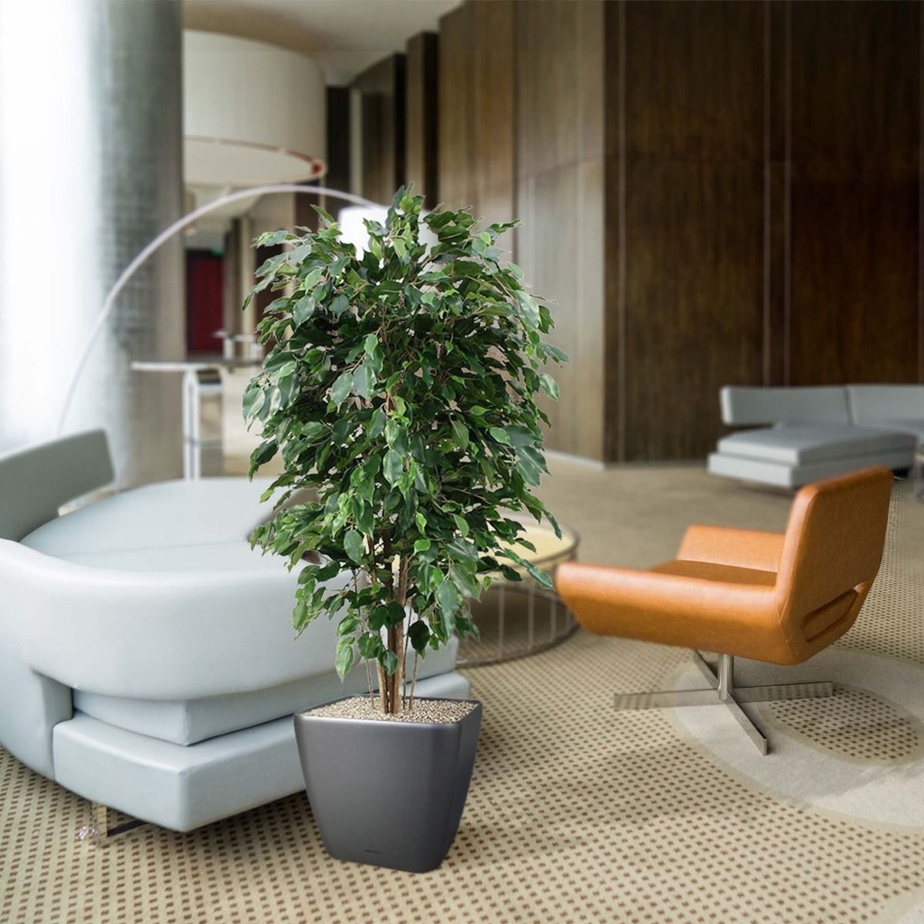 Ficus Exotica deluxe kunstplant 150cm - groen - FR - brandvertragend