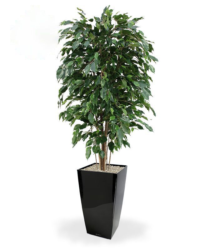 Ficus Exotica deluxe kunstplant 150cm - groen - FR - brandvertragend