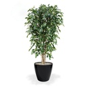 Ficus Exotica deluxe kunstplant 180cm - groen - FR - brandvertragend