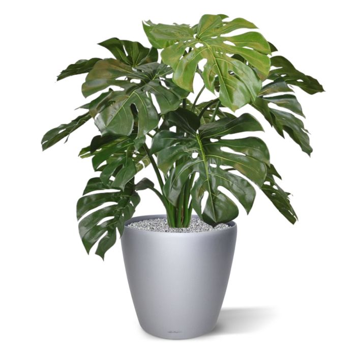 Monstera deluxe kunstplant 75cm - FR - brandvertragend