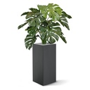 Monstera deluxe kunstplant 75cm - FR - brandvertragend