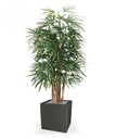 Raphis kunstpalm deluxe 160cm - FR - brandvertragend