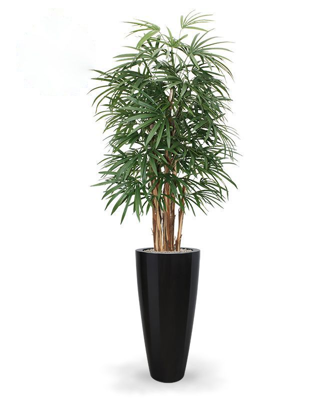 Raphis kunstpalm deluxe 160cm - FR - brandvertragend