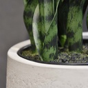 Sanseveria kunstplant N 50cm - groen