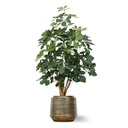 Schefflera Exotica kunstplant 120 cm