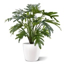 Philodendron Xanadu kunstplant 50cm