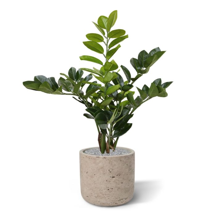 Zamioculcas kunstplant 55 cm