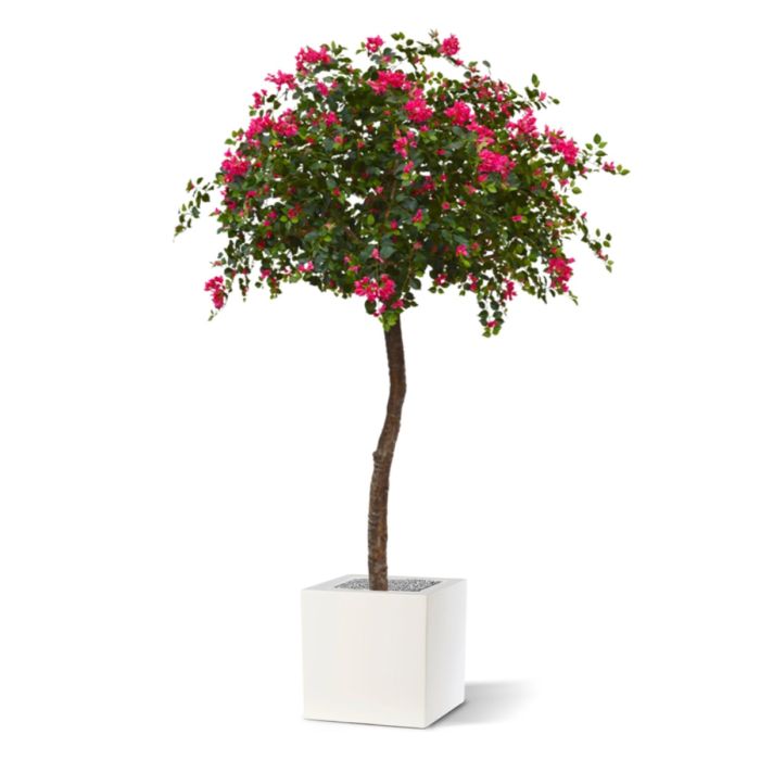 Bougainvillae Bal XL kunstboom 275cm - cerise