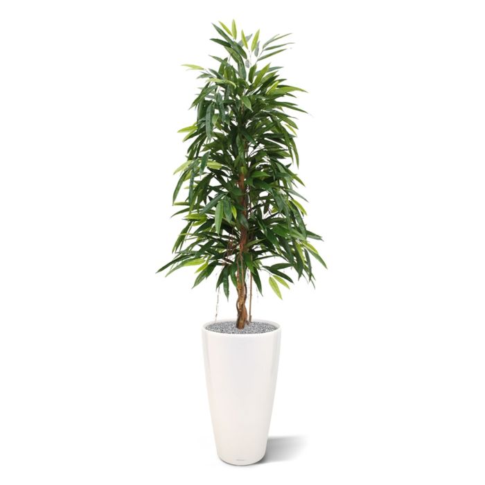 Longifolia Royal kunstboom 150cm