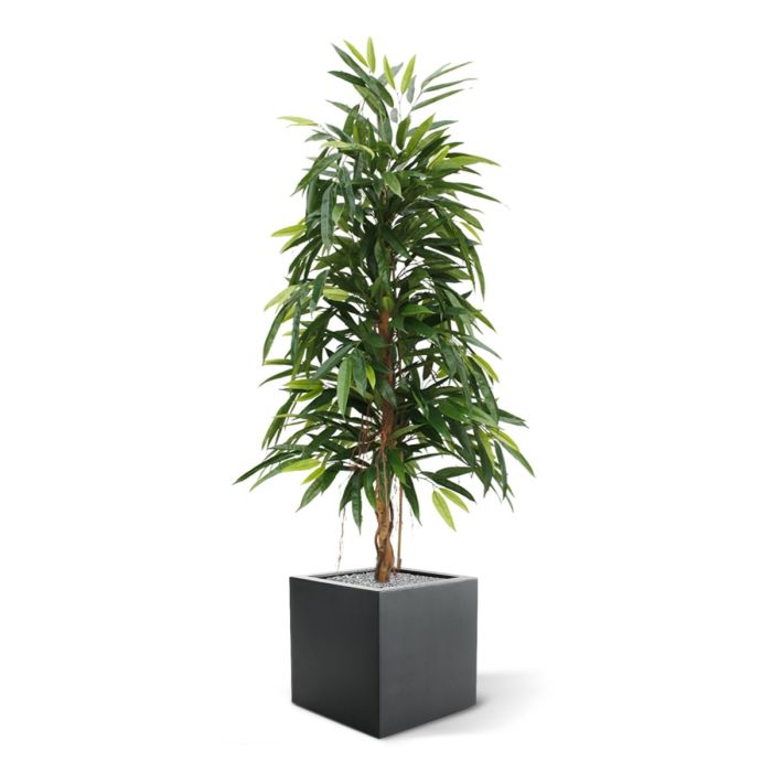 Longifolia Royal kunstboom 150cm