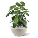 Syngonium deluxe kunstplant 85cm