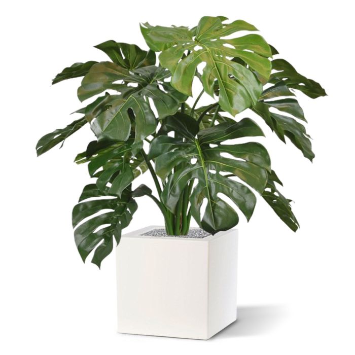 Monstera deluxe kunstplant 75cm