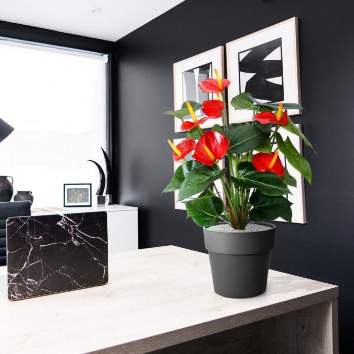 Anthurium deluxe kunstplant 50cm - rood