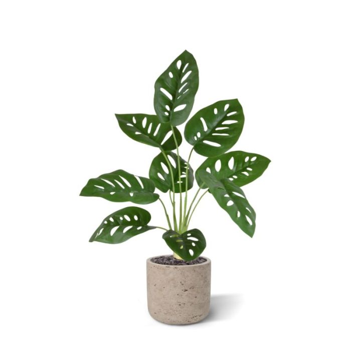 Monstera Adonsonii kunstplant 40cm