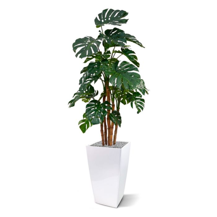 Monstera deluxe x5 kunstplant - 180cm