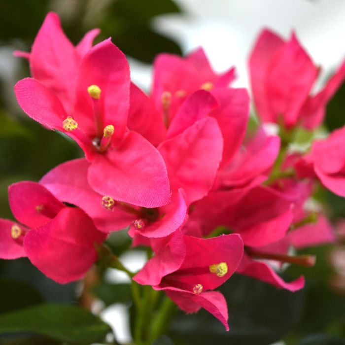 Bougainvillae kunstplant 150cm - cerise