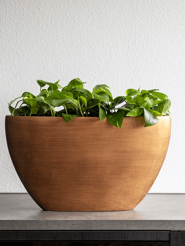 Capi Retro - Oval Planter - Gold - 34 cm