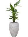 Capi Nature Rib NL - Vase Elegant Deluxe - Ivory - 58 cm