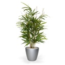 Royal Bamboe kunstplant 70cm - groen