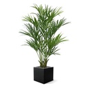 Kentia deluxe kunstpalm XL 190cm