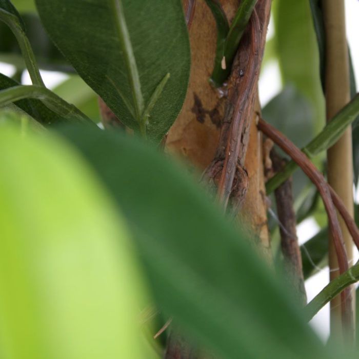 Longifolia Royal kunstboom 175cm