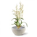 Oncidium deluxe orchidee kunstplant 80cm - creme