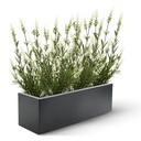 Lavendel kunstplant 50cm - wit - UV bestendig