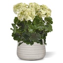 Kunst Geranium PL XL 40cm -creme - UV bestendig