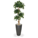 Acer Bonsai deluxe kunstboom 170cm - groen