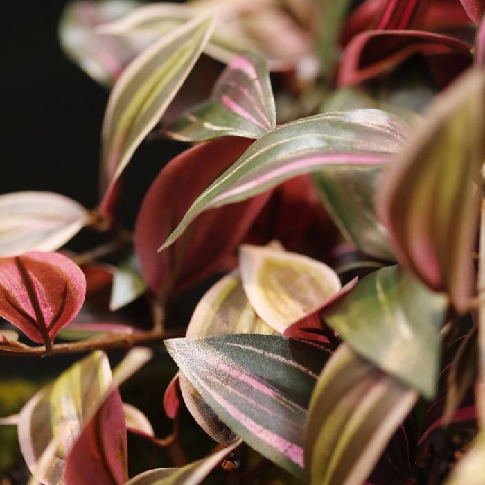 Tradescantia kunst hangplant 100cm - groen/rood