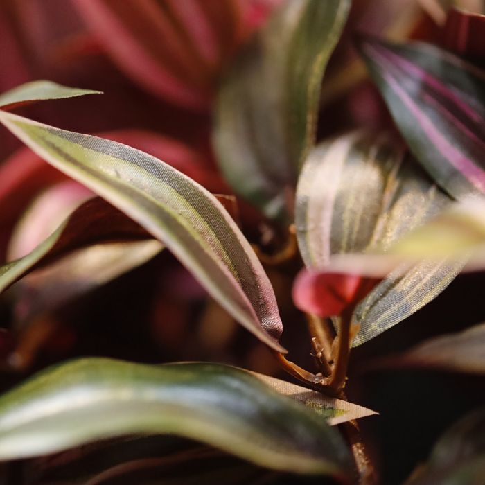 Tradescantia kunst hangplant 100cm - groen/rood