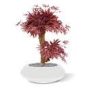 Acer Bonsai kunstboom 60cm - burgundy