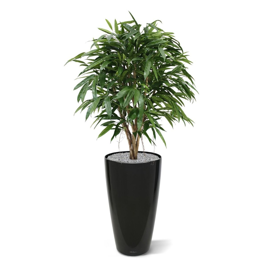 Longifolia XL deluxe kunstboom 120cm