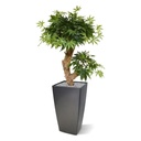 Acer Bonsai kunstboom 60cm - groen