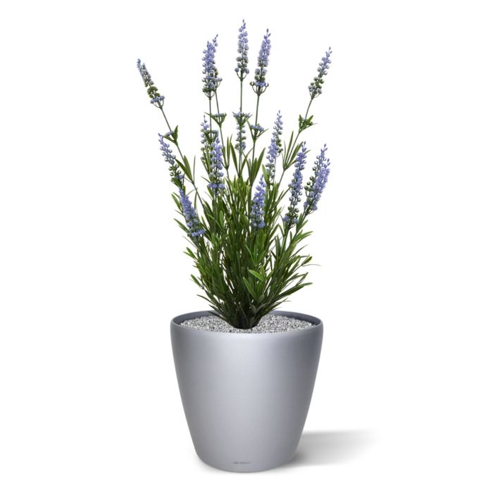 Lavendel kunstplant 50cm - blauw - UV bestendig