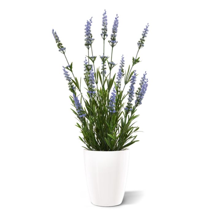 Lavendel kunstplant 50cm - blauw - UV bestendig